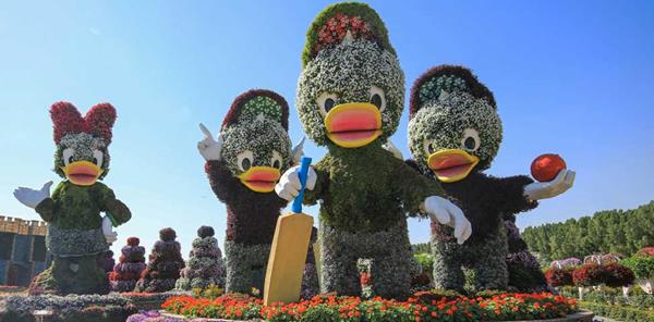 Miracle garden