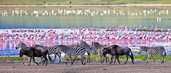 Kilimanjaro National Park