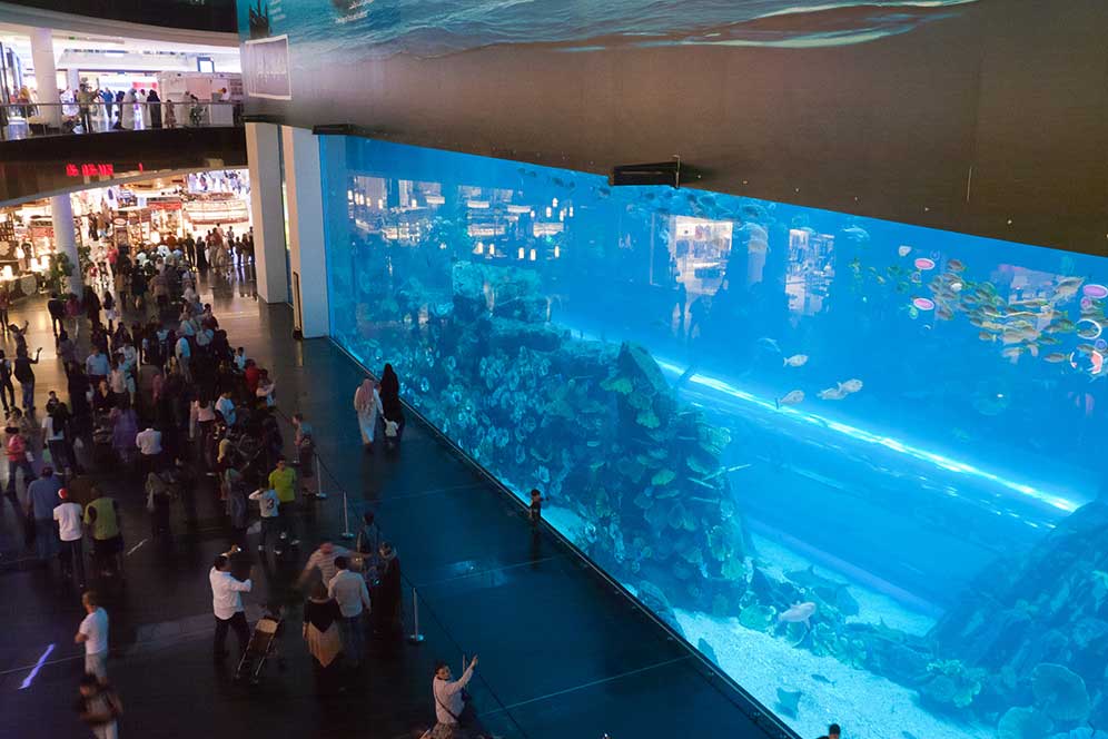 The-Dubai-Mall
