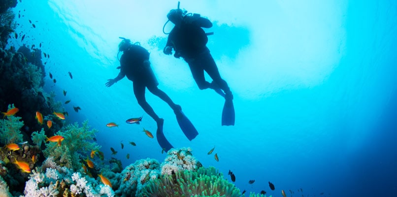 scuba-diving-806x400 scuba-diving-806x400