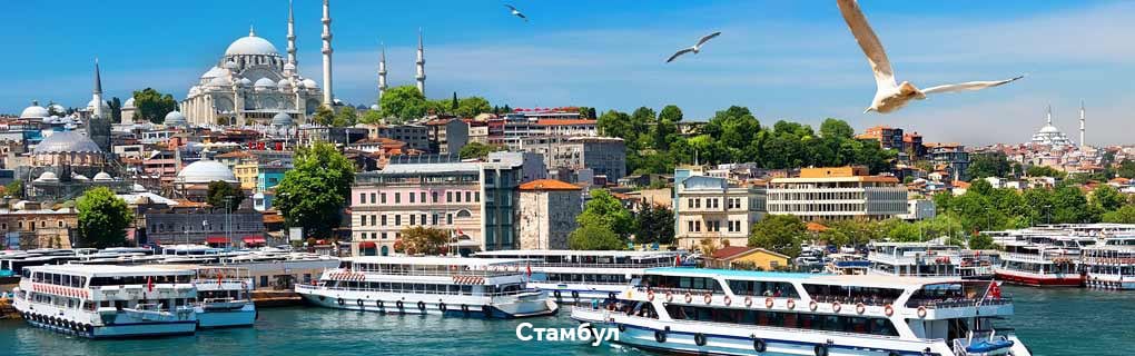 Turkey-with-caption-RU-1020x320 Turkey-with-caption-RU-1020x320
