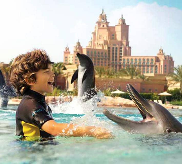 Dolphin Bay Tail Walk 