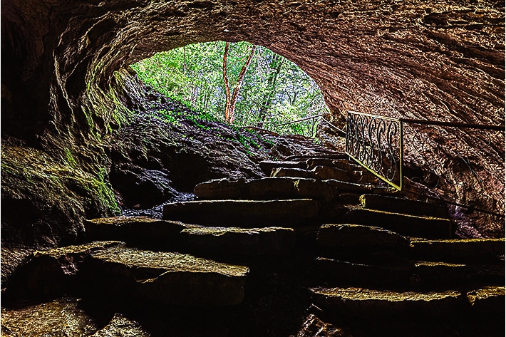 Desert Safari - Flydubai