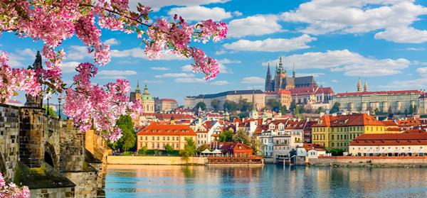 Bustling cities - flydubai