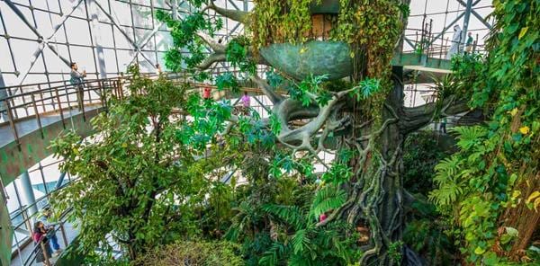 Green planet Dubai