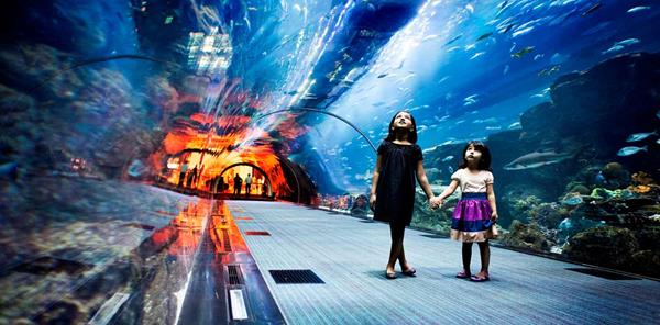 Dubai Aquarium and Underwater Zoo