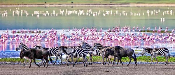 Kilimanjaro National Park